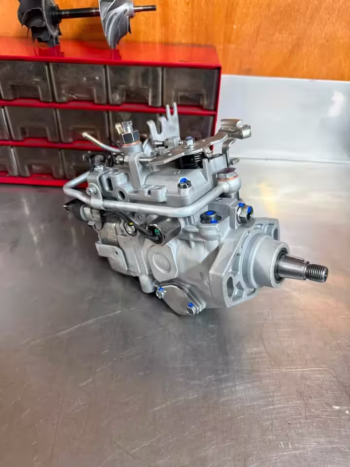 Rotary pump